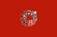 大名回收红酒